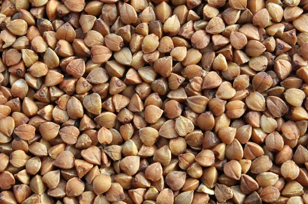 Fondo Trigo Sarraceno Seco Con Grano Entero Grande — Foto de Stock