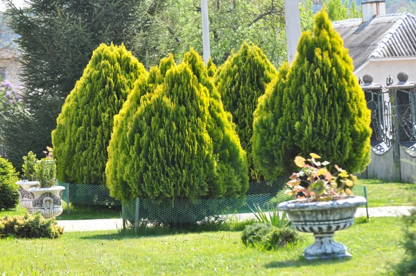 Frammenti Design Moderno Dal Paesaggio Nel Giardino Parco Piazza Area — Foto Stock