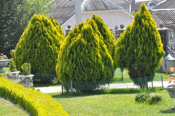 Frammenti Design Moderno Dal Paesaggio Nel Giardino Parco Piazza Area — Foto Stock