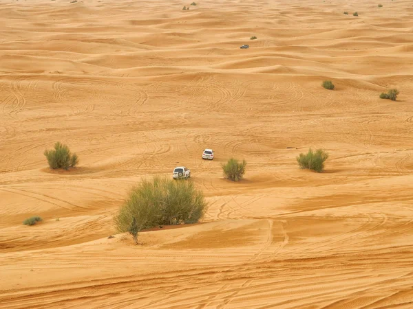 Аравийская пустыня сафари — стоковое фото