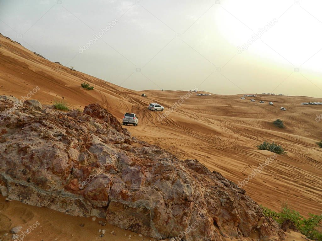 Arabian Desert Safari