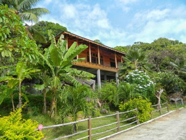 Terk edilmiş tropikal kabin