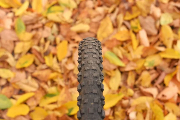 Detalhe Uma Roda Bicicleta Fundo Folhas Outono Coloridas — Fotografia de Stock