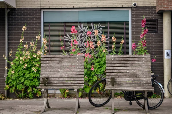 Drewniane Ławki Zaparkowany Rower Ulicach Amsterdamu Tradycyjne Holenderskie Krajobrazy — Zdjęcie stockowe