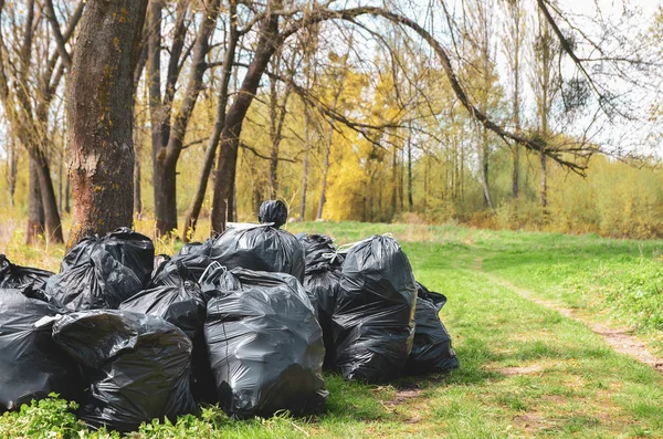 Çöpler doğada, ormanda, nehirde büyük siyah plastik torbalarda. Doğanın bahar temizliği. 