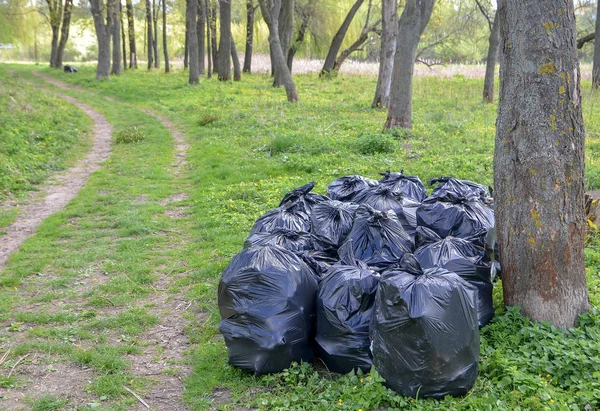 Garbage in big black plastic bags in nature, forest, at river. Spring cleaning of nature.
