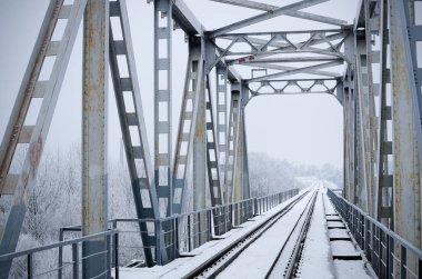 Soğuk ve kasvetli bir kış gününde buzlu ağaçların arasında demiryolu köprüsü. Ön görünüm.