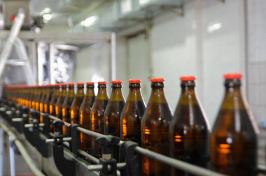 Row of empty glass bottles on the conveyor belt. Beer production process.