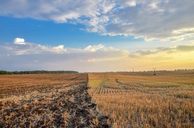Beautiful sunset view of aricultural field after harvesting