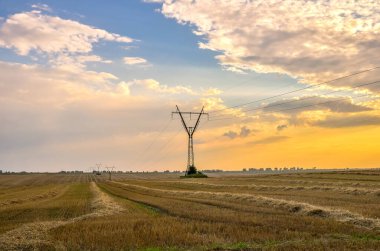 Beautiful sunset view of aricultural field after harvesting