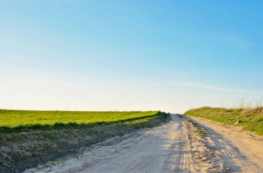 Yeşil yay tarlalarının panoramik manzarası, mavi bulutsuz gökyüzü ve kırsal bir yol. Tonu ayarlanmış resim.