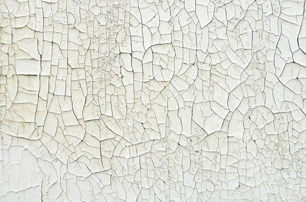Texture Cracked White Paint Light Wooden Background — Stock Photo, Image