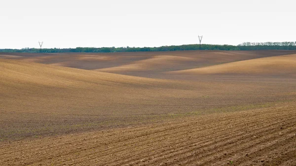 Landwirtschaftliche Landschaft Mit Frisch Bestelltem Feld Mit Jungen Weizenkeimen Vor — Stockfoto