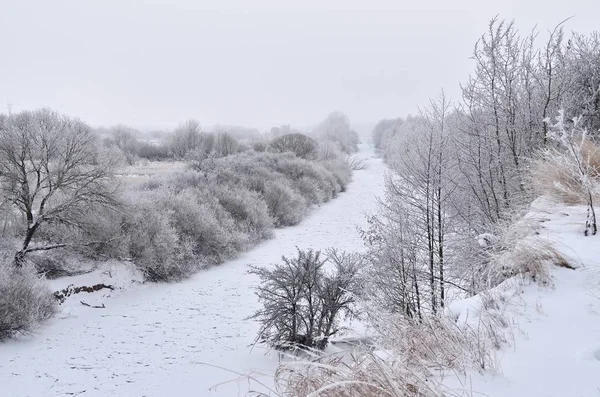 Piękny Zimowy Krajobraz Rzeką Lasem Mroźna Zimowa Atmosfera — Zdjęcie stockowe