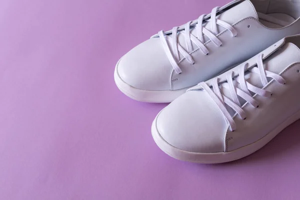 一双紫色底色的白色皮鞋 复制空间 — 图库照片