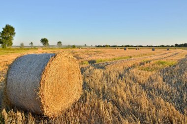 Gün batımında saman ya da ip balyaları