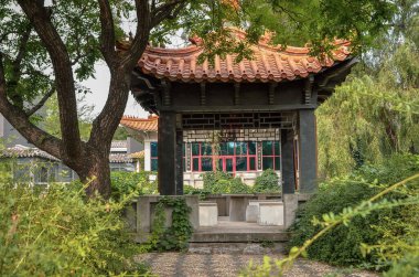 Çin bahçesindeki eski pagoda.