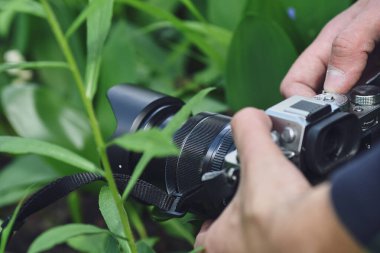 Fotoğrafçı elinde doğanın zemin kattan çekilen videosunu tutuyor. Seçici odak.