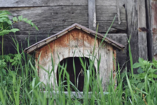 古い放棄された木造の犬小屋 時間によって風化した 緑の草で覆われている 選択的焦点 — ストック写真