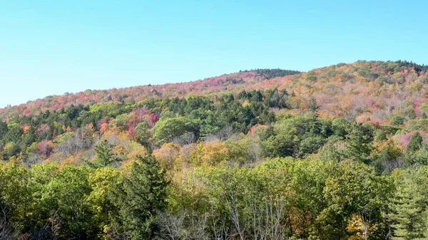 Egy domb mellett Newbury új Hampshire borított őszi lombozat — Stock Fotó