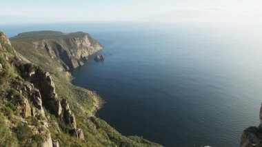 Tazmanya 'daki üç pelerinin bir kısmı Cape Raoul yakınlarında gözcülük yapıyor.
