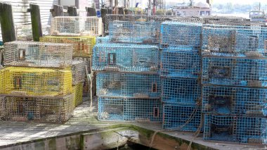 Portland 'da bir rıhtımda ıstakoz kapanı çekimi