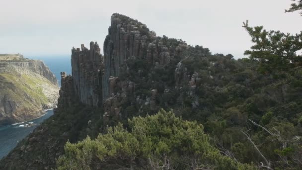 タスマニアの岬の柱でタスマン島と針のショット — ストック動画