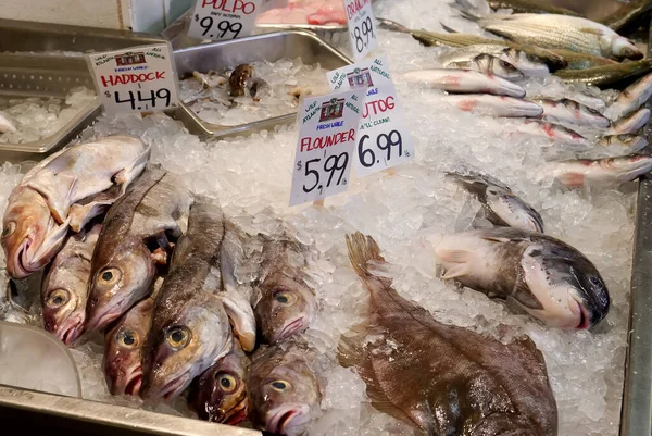 Peixe fresco no gelo numa loja de peixeiros em Portland — Fotografia de Stock