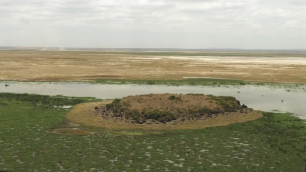 Enkongu swamp and volcanic rock formation at amboseli — Stock Video