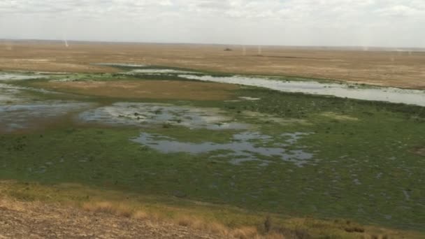 Vista de ángulo alto del pantano enkongo narok en Amboseli — Vídeo de stock