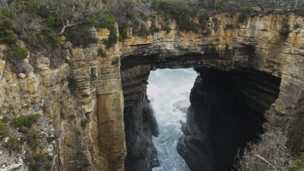 Colpo ravvicinato di tasman arch al collo di eaglehawk in tasmania — Video Stock