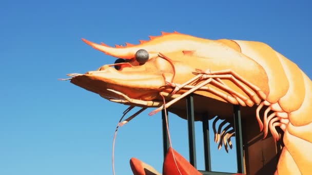 2015 년 3 월 5 일에 확인 함 . ballina, Australia - March, 2017: zoom in on the historic big prawn at ballina in New South Wales — 비디오