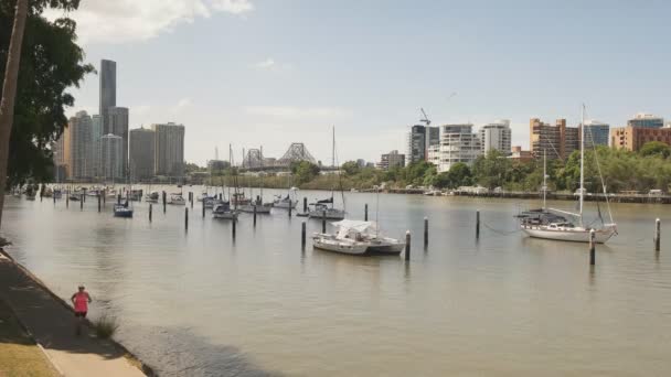 Brisbane, Australien-Marsch, 7. März 2017: Joggerin läuft neben dem Brisbane River und dem Botanischen Garten — Stockvideo