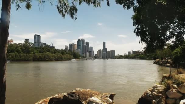 Vista al nivel del río de Brisbane enmarcado por árboles — Vídeos de Stock