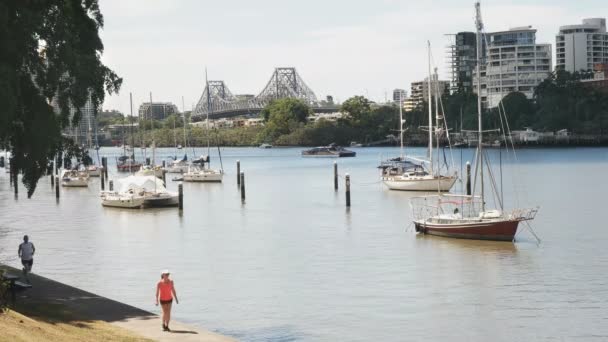 布里斯班，澳大利亚-2017年3月7日：来自植物园的布里斯班河和故事桥 — 图库视频影像
