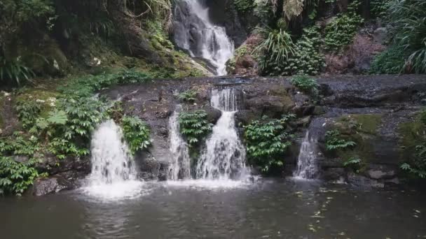 Крупным планом водопада Элабана в национальном парке Ламингтон — стоковое видео