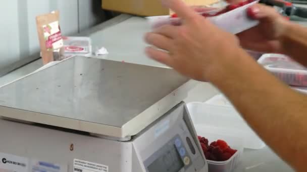 Een werknemer weegt framboos punnets bij een pakstation in Tasmanië — Stockvideo