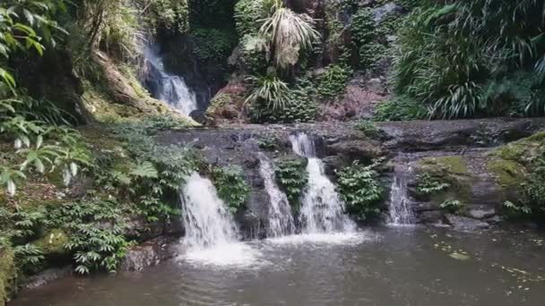 Elabana falls at lamington national park in queensland — Stock Video