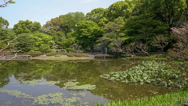 Tokyo 'daki İmparatorluk Sarayı' ndaki Koi göleti köprüsünde duran bir turist. — Stok fotoğraf