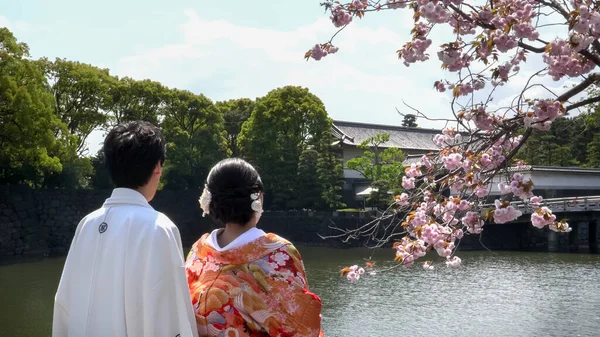 TOKYO, JAPÃO - ABRIL, 10, 2018: noiva japonesa e noivo admiram flores de cereja no palácio imperial em tokyo — Fotografia de Stock