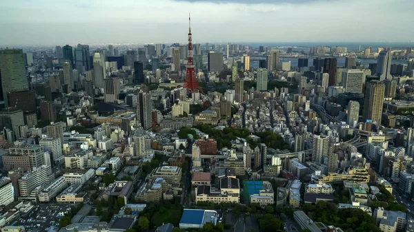 Tiro da tarde da torre do tokyo da torre do mori em tokyo — Fotografia de Stock