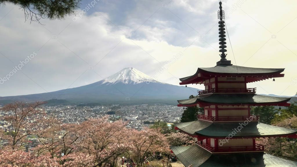 spring time shot of chureito pagoda in japan