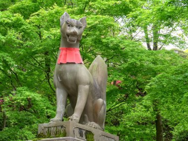 KYOTO, JAPONYA - 16 Nisan 2018: Fushimi inari türbesinde top taşıyan tilki heykeli