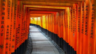 Kyoto, Japonya - 16 Nisan 2018: Fushimi inari türbesindeki kırmızı torii kapıları