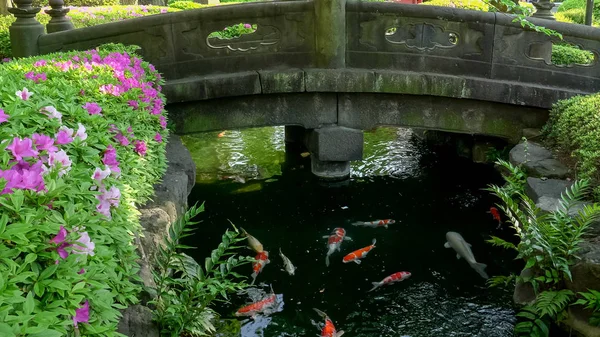 Tokyo 'daki Sensoji tapınağında bir köprü ve koi havuzu. — Stok fotoğraf