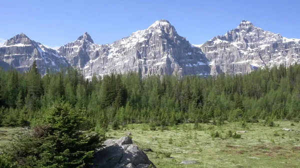 Banff Ulusal Parkı 'ndaki karaçam vadisinde dağlar — Stok fotoğraf