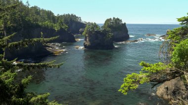 morning view of sea stacks at cape flattery in the olympic np clipart