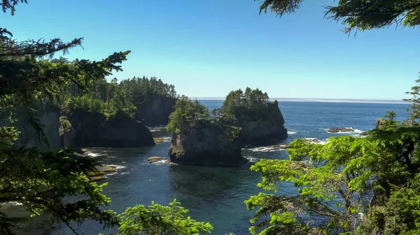 Coastline to the south at cape flattery framed by trees in olympic np — Stock Photo, Image
