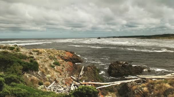 Morning View van de Arthur River Mouth aan de westkust van Tasmanië — Stockvideo