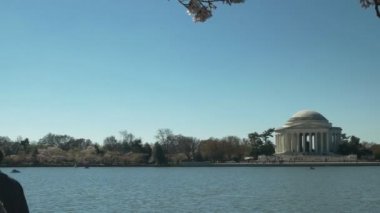 Jefferson Memorial ve Kiraz Çiçekleri 'nin Sabah Tavası